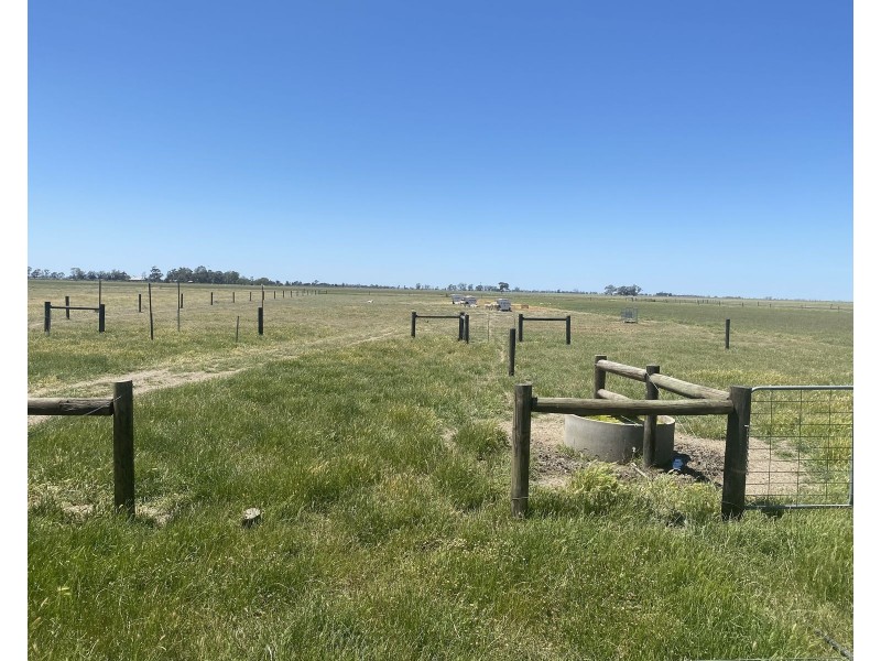 1408 Kerang-Murrabit Road, Westby VIC 3579