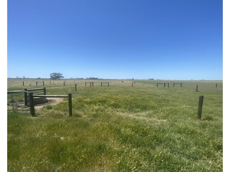 1408 Kerang-Murrabit Road, Westby VIC 3579