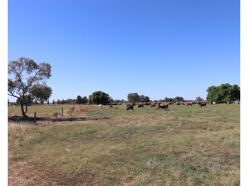 156 Walker Lane, Tullakool NSW 2732