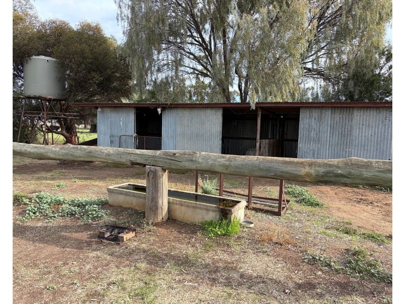 6230 Wakool Road, Wakool NSW 2710