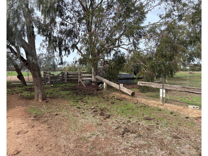6230 Wakool Road, Wakool NSW 2710