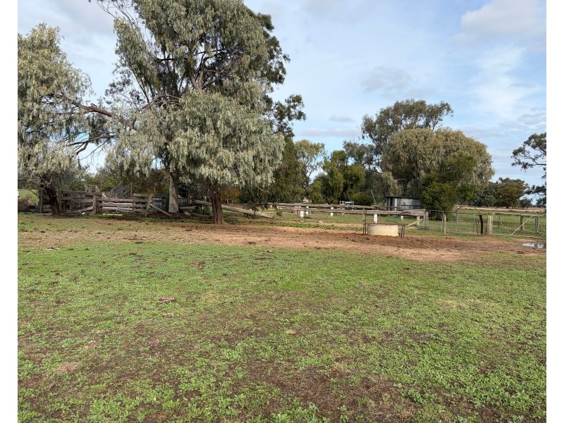 6230 Wakool Road, Wakool NSW 2710