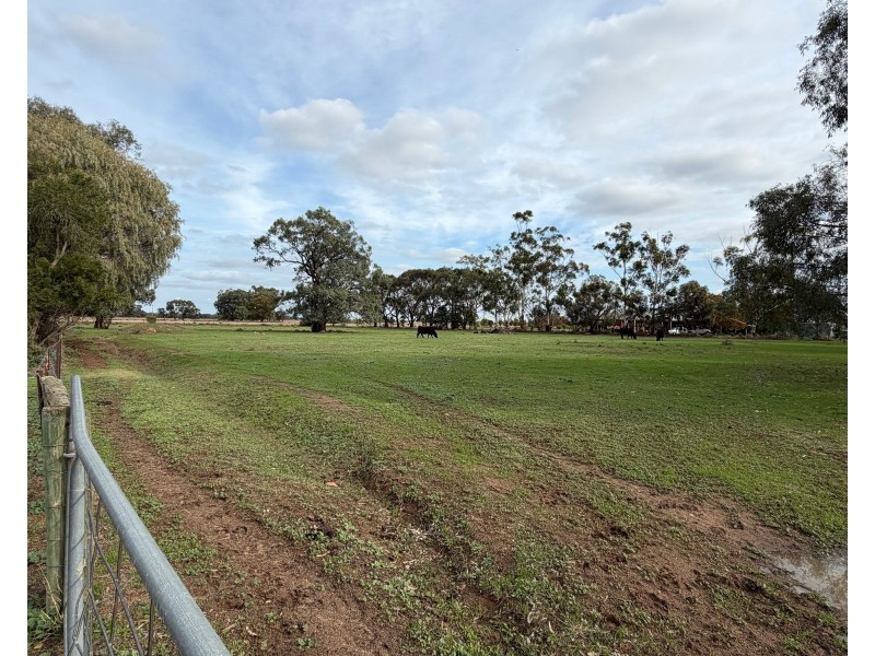 6230 Wakool Road, Wakool NSW 2710