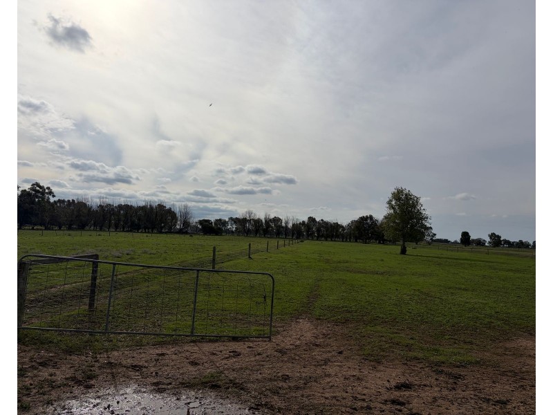 6230 Wakool Road, Wakool NSW 2710