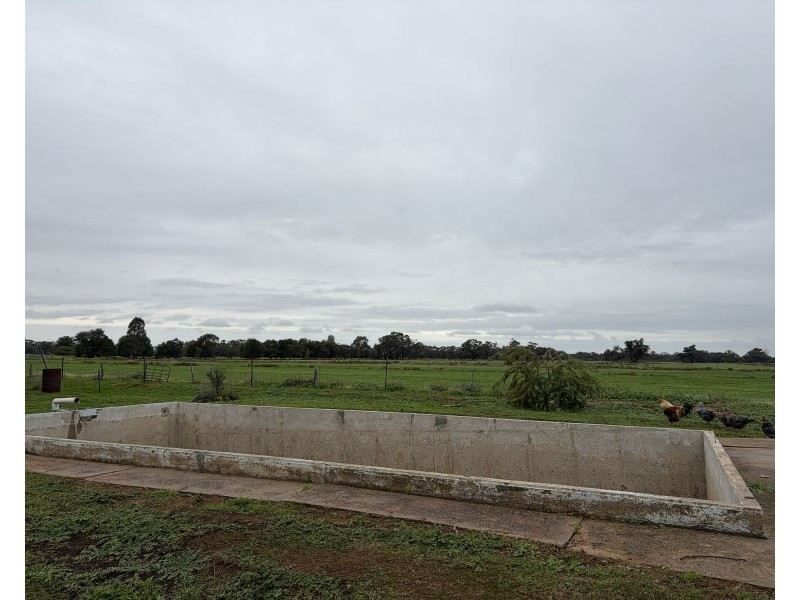 6085 Wakool Road, Wakool NSW 2710