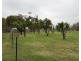 6085 Wakool Road, Wakool NSW 2710
