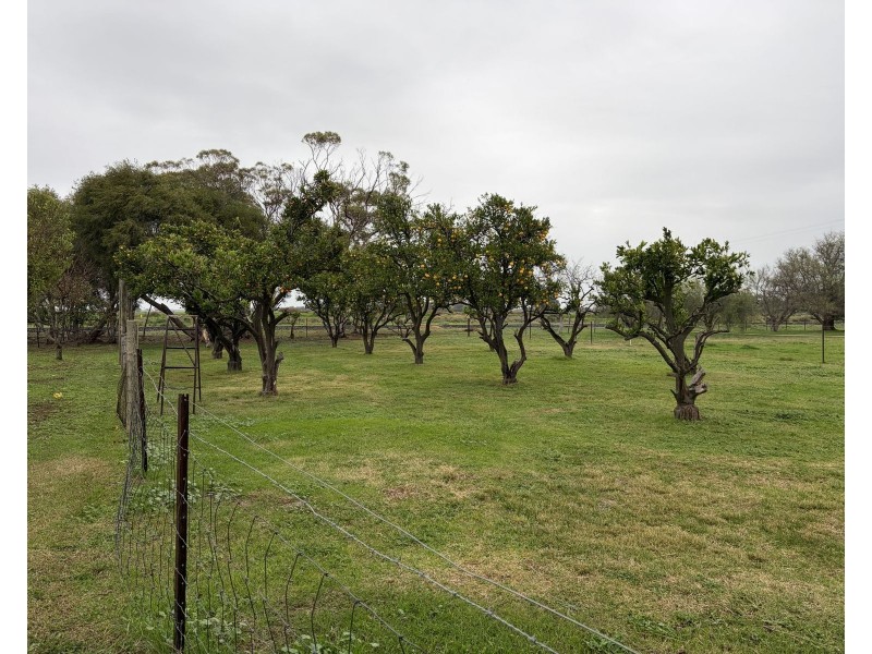 6085 Wakool Road, Wakool NSW 2710