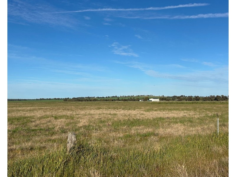 516 Jungaburra Road, Terrick Terrick VIC 3575