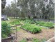 929 East Barham Road, Barham NSW 2732