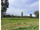 929 East Barham Road, Barham NSW 2732