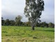 929 East Barham Road, Barham NSW 2732