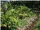 Booral QLD 4655
