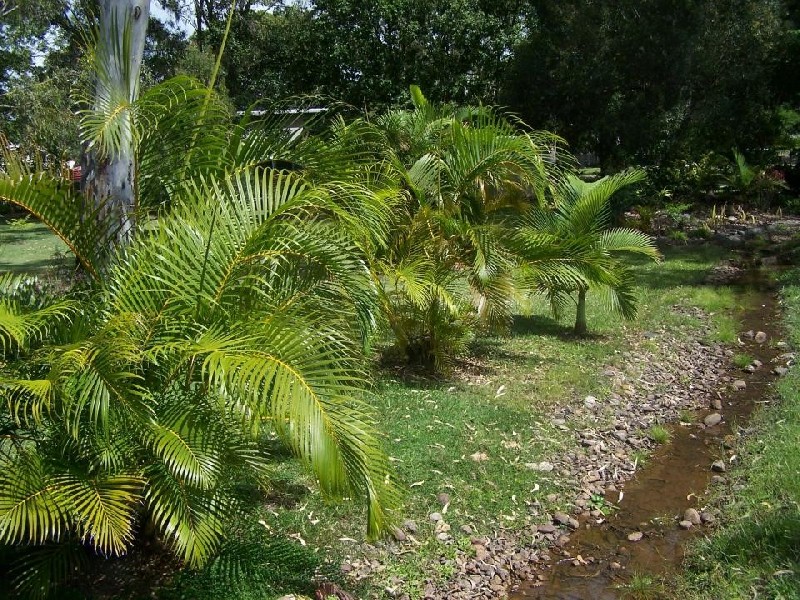 Booral QLD 4655