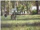 Redridge QLD 4660