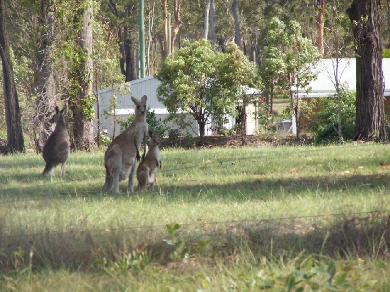 Redridge QLD 4660