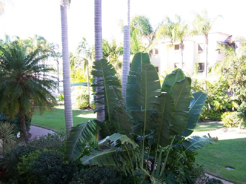 Runaway Bay QLD 4216