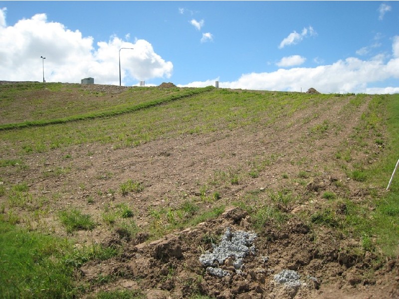 Pacific Pines QLD 4211