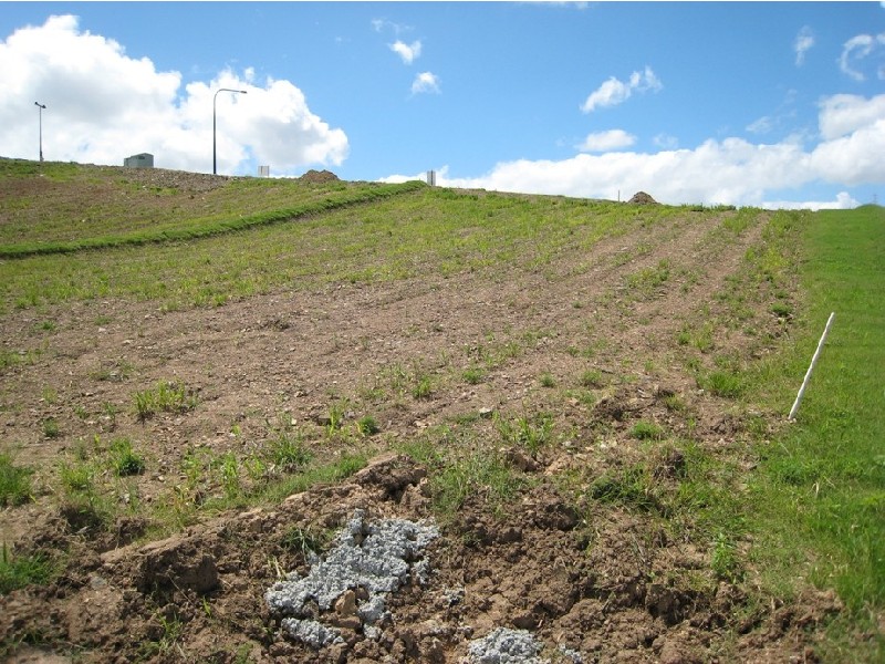 Pacific Pines QLD 4211