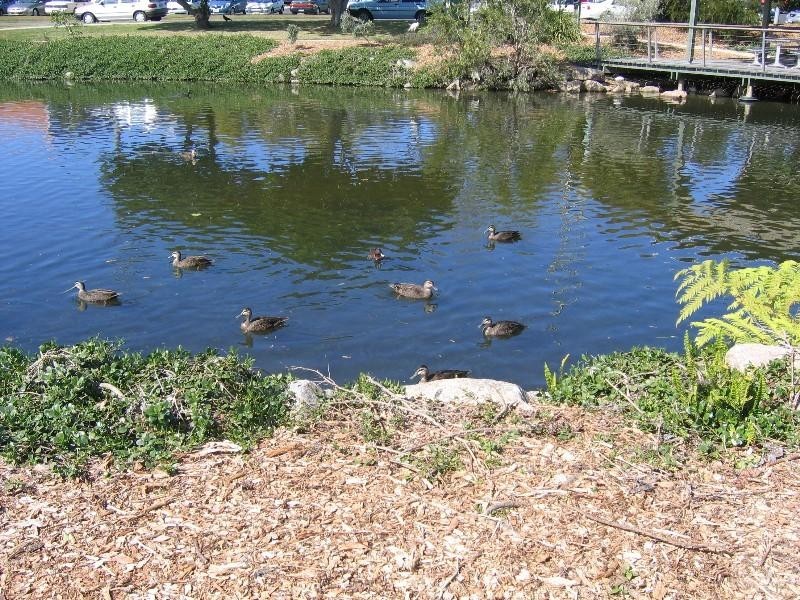 McNaughton Street, Redcliffe QLD 4020