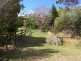 Eagle Heights QLD 4271