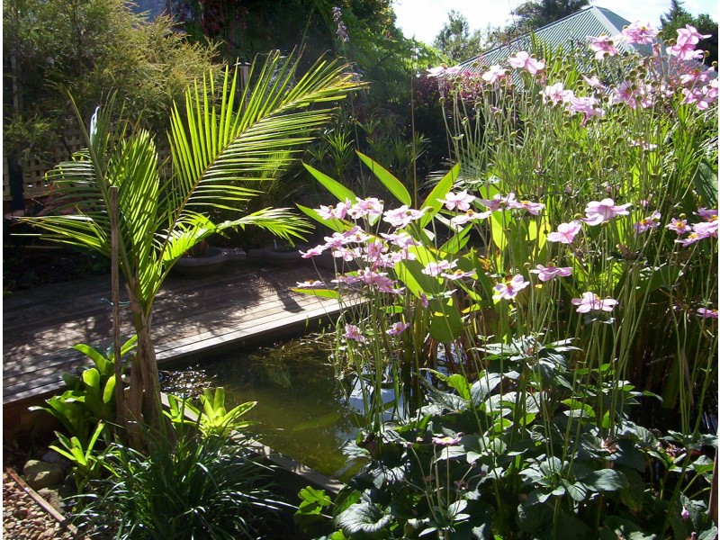 Eagle Heights QLD 4271