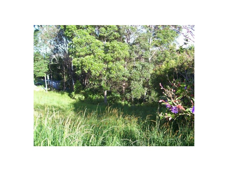 37 Magnetic Drive, Eagle Heights QLD 4271