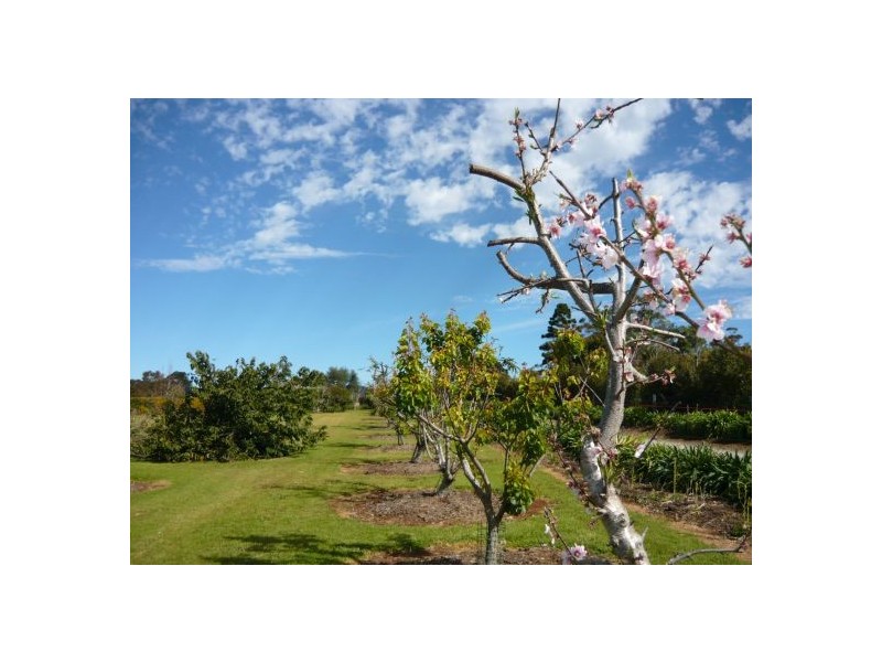 North Tamborine QLD 4272