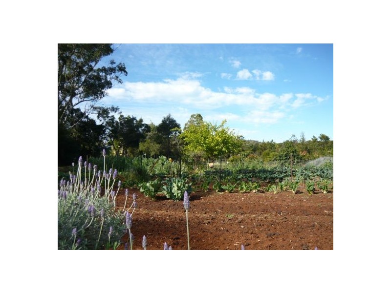 North Tamborine QLD 4272