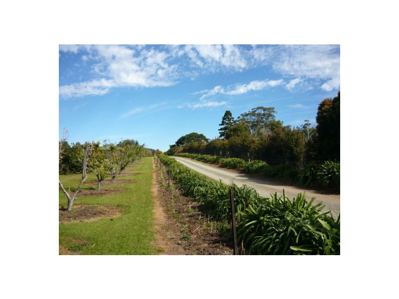 North Tamborine QLD 4272