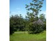 Eagle Heights QLD 4271