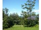 Eagle Heights QLD 4271