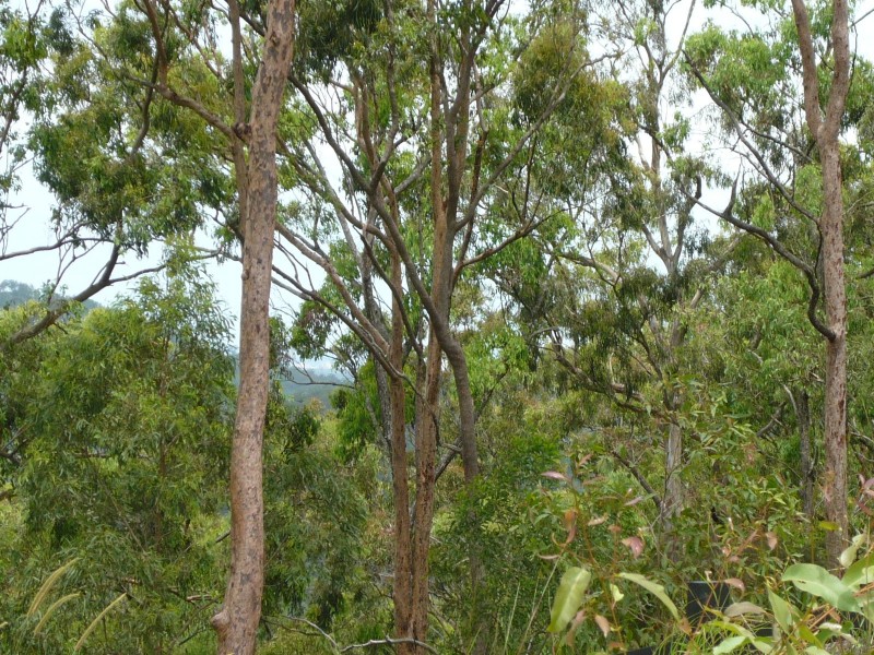 Eagle Heights QLD 4271