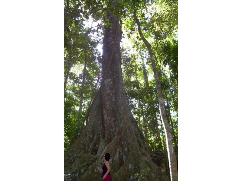 Eagle Heights QLD 4271