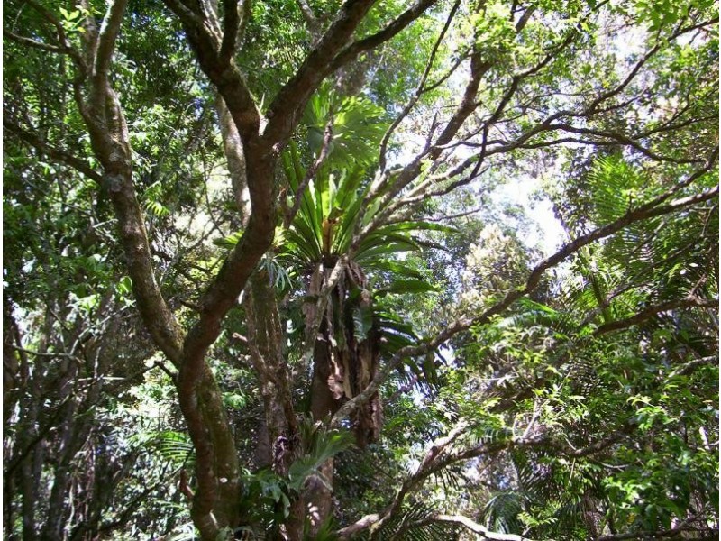 Eagle Heights QLD 4271