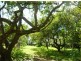 North Tamborine QLD 4272