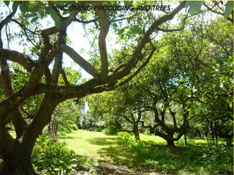 North Tamborine QLD 4272