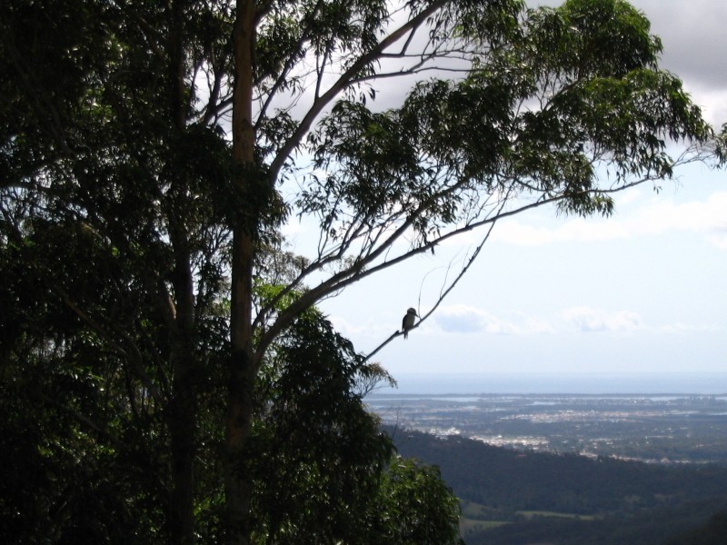 Eagle Heights QLD 4271