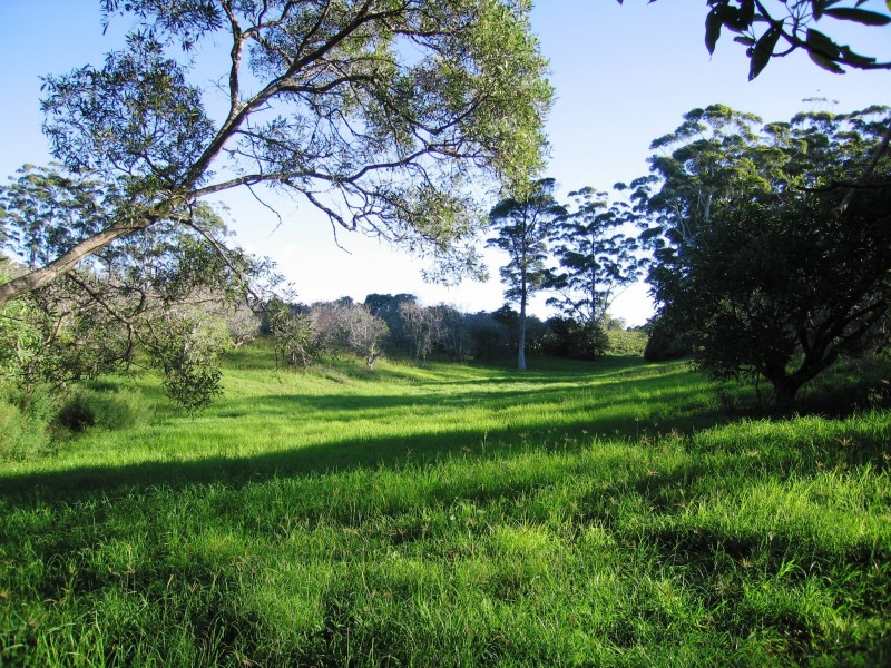 North Tamborine QLD 4272