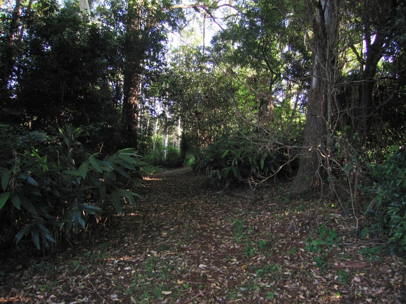 North Tamborine QLD 4272