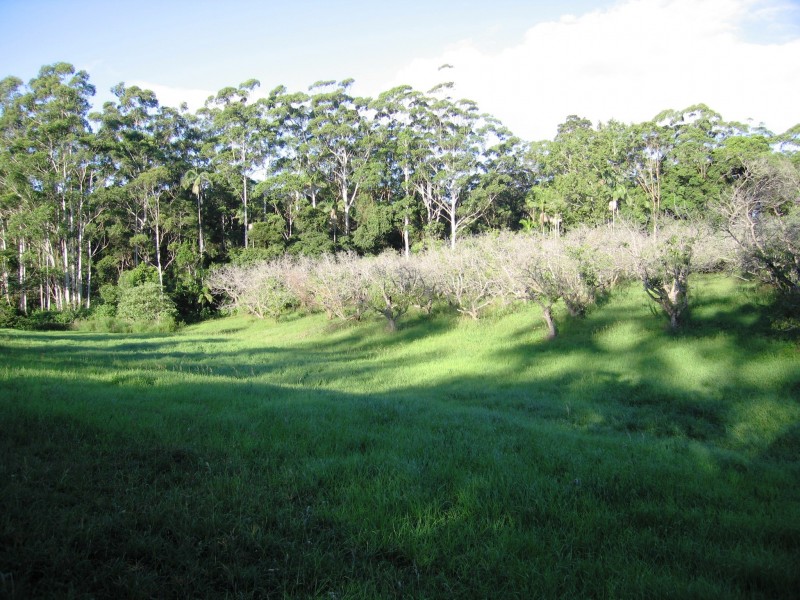 North Tamborine QLD 4272