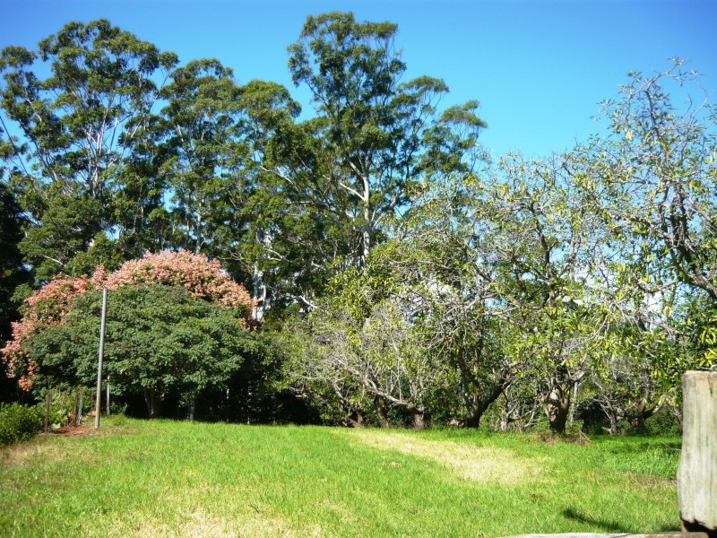 North Tamborine QLD 4272