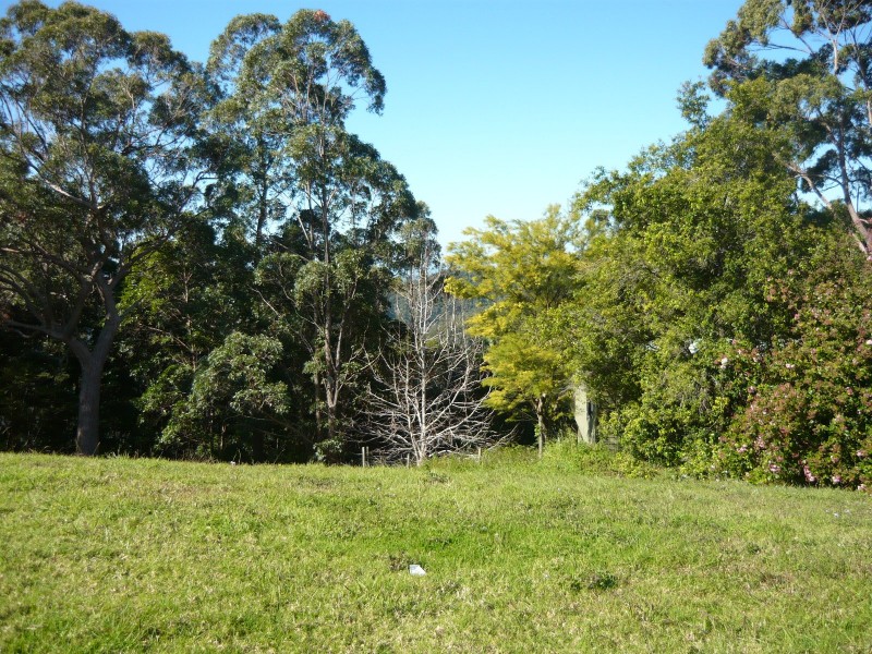 North Tamborine QLD 4272