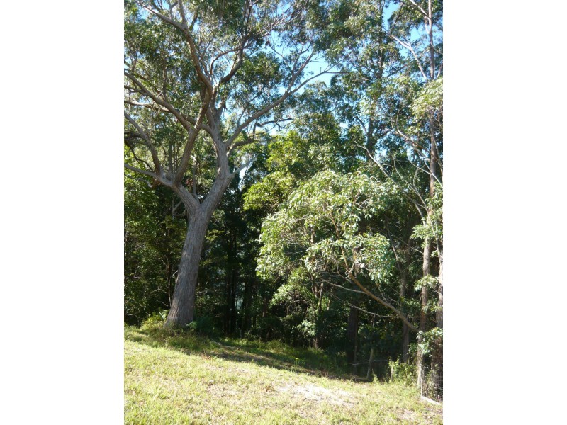 North Tamborine QLD 4272