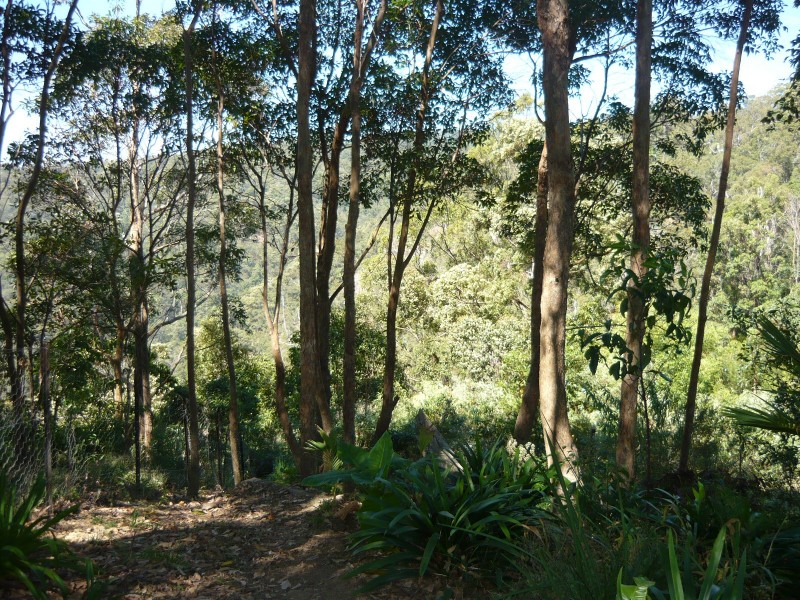 Eagle Heights QLD 4271