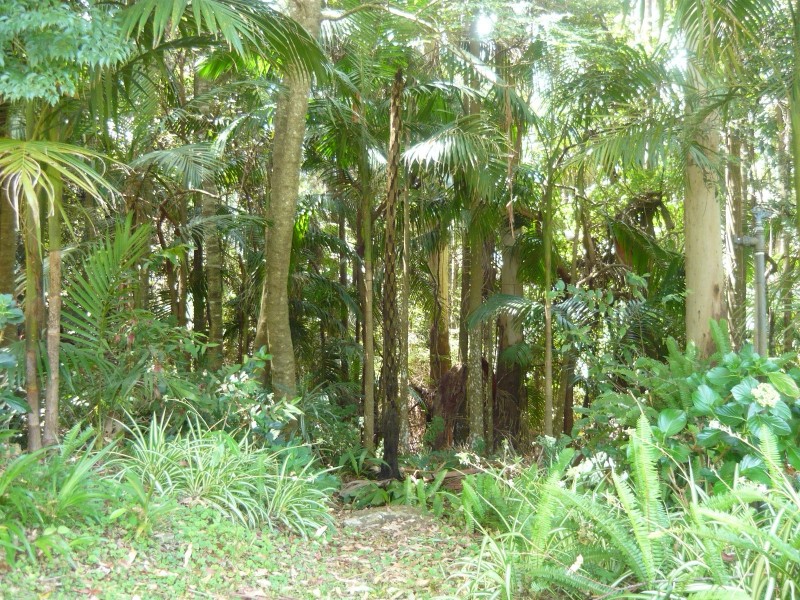 Eagle Heights QLD 4271