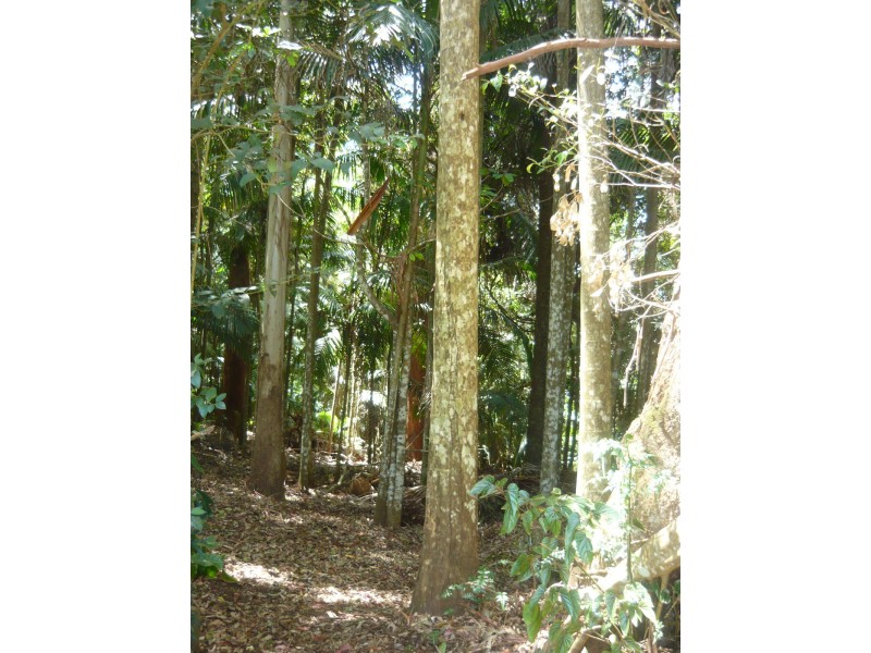 Eagle Heights QLD 4271