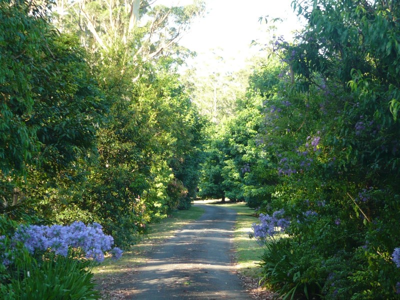 North Tamborine QLD 4272