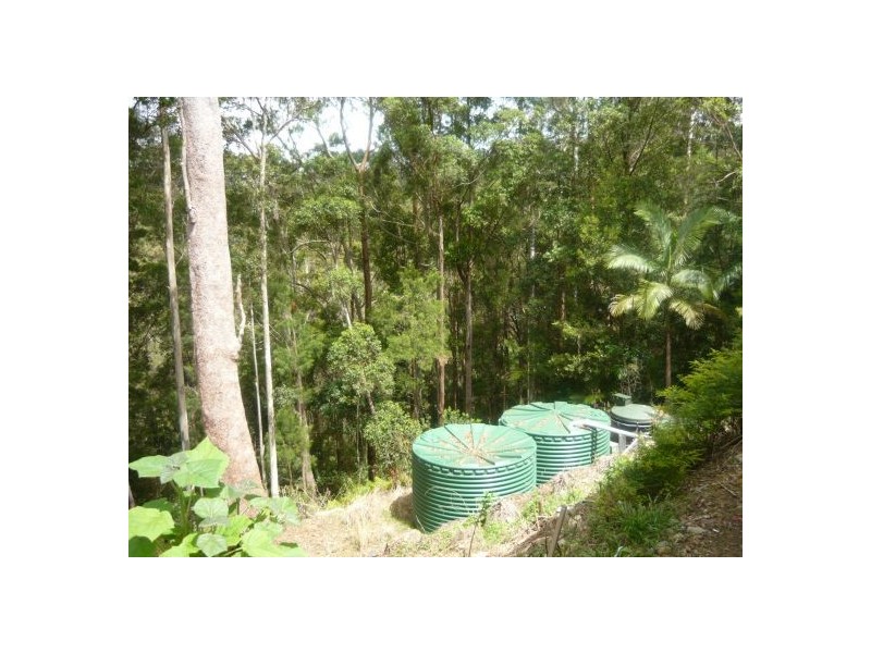 41 Kinabalu Drive, Eagle Heights QLD 4271