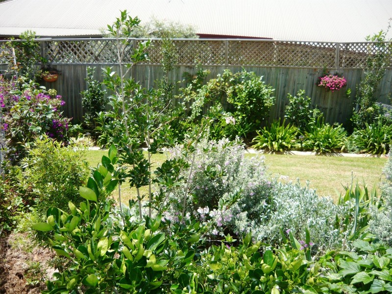 North Tamborine QLD 4272