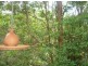 Eagle Heights QLD 4271